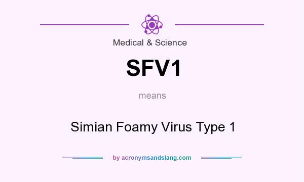 What does SFV1 mean? It stands for Simian Foamy Virus Type 1