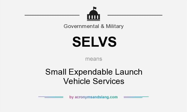 What does SELVS mean? It stands for Small Expendable Launch Vehicle Services