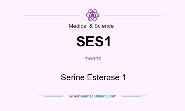 What does SES1 mean? It stands for Serine Esterase 1