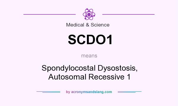 What does SCDO1 mean? It stands for Spondylocostal Dysostosis, Autosomal Recessive 1