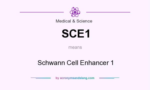 What does SCE1 mean? It stands for Schwann Cell Enhancer 1