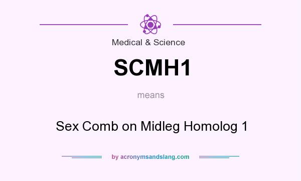 What does SCMH1 mean? It stands for Sex Comb on Midleg Homolog 1