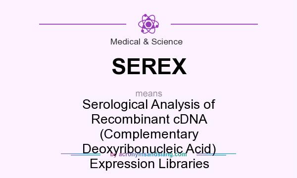 What does SEREX mean? It stands for Serological Analysis of Recombinant cDNA (Complementary Deoxyribonucleic Acid) Expression Libraries