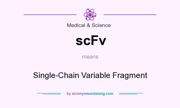 What does scFv mean? It stands for Single-Chain Variable Fragment
