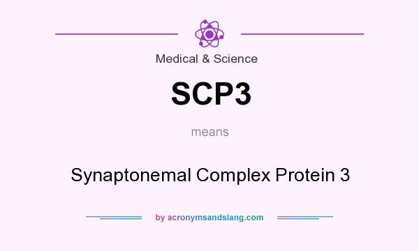 What does SCP3 mean? It stands for Synaptonemal Complex Protein 3