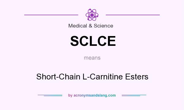 What does SCLCE mean? It stands for Short-Chain L-Carnitine Esters