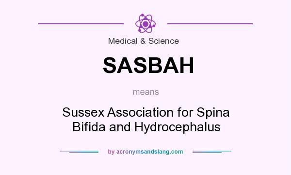 What does SASBAH mean? It stands for Sussex Association for Spina Bifida and Hydrocephalus