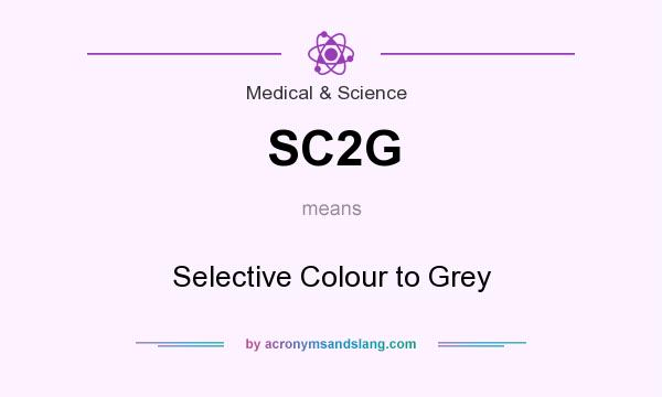What does SC2G mean? It stands for Selective Colour to Grey