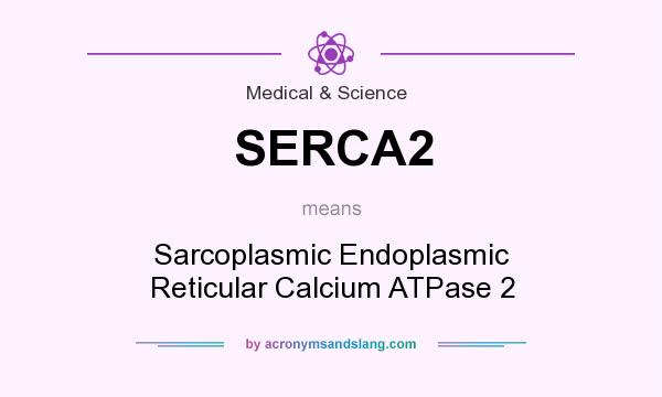 What does SERCA2 mean? It stands for Sarcoplasmic Endoplasmic Reticular Calcium ATPase 2