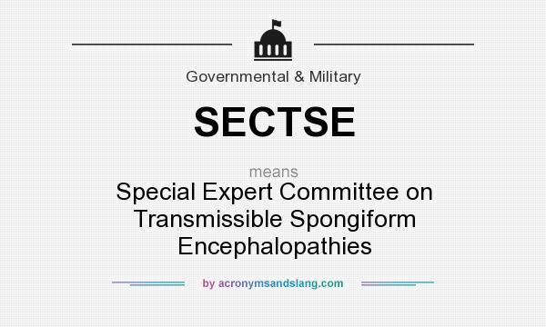 What does SECTSE mean? It stands for Special Expert Committee on Transmissible Spongiform Encephalopathies