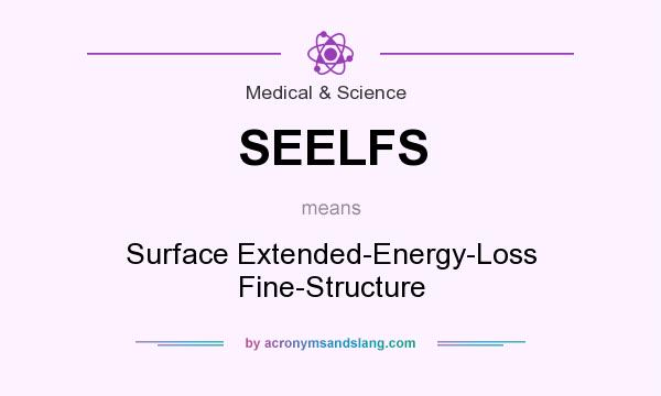 What does SEELFS mean? It stands for Surface Extended-Energy-Loss Fine-Structure