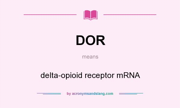 What does DOR mean? It stands for delta-opioid receptor mRNA