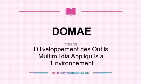 What does DOMAE mean? It stands for DTveloppement des Outils MultimTdia AppliquTs a l`Environnement