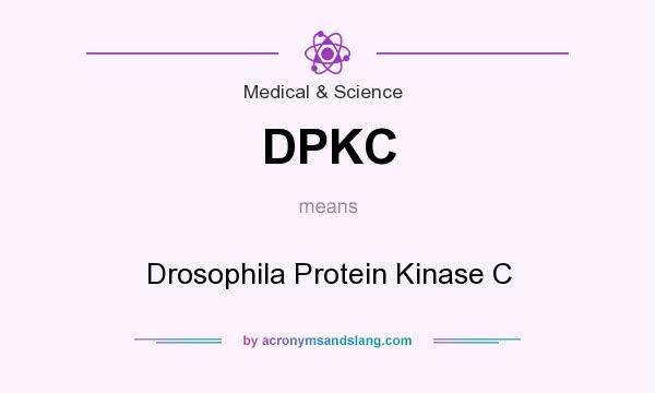 What does DPKC mean? It stands for Drosophila Protein Kinase C