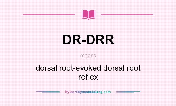 What does DR-DRR mean? It stands for dorsal root-evoked dorsal root reflex