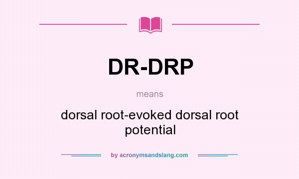 What does DR-DRP mean? It stands for dorsal root-evoked dorsal root potential