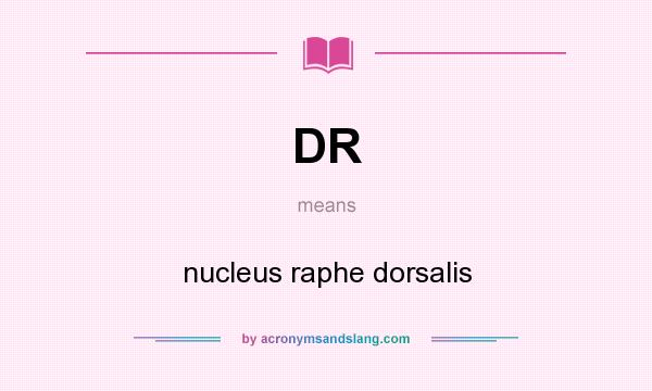 What does DR mean? It stands for nucleus raphe dorsalis