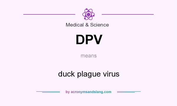 What does DPV mean? It stands for duck plague virus