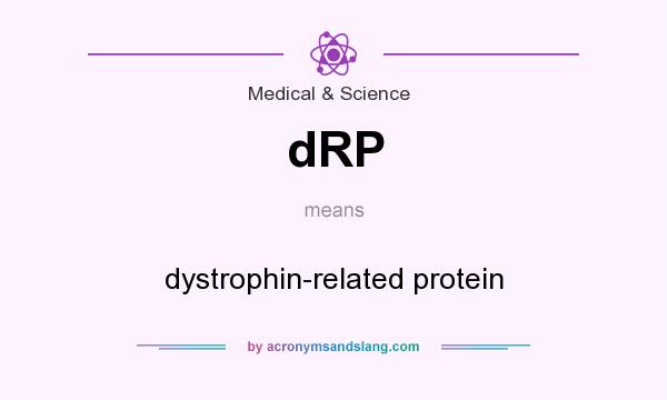 What does dRP mean? It stands for dystrophin-related protein