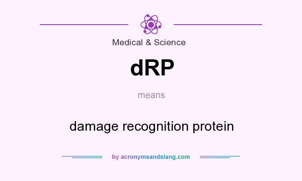 What does dRP mean? It stands for damage recognition protein