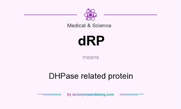 What does dRP mean? It stands for DHPase related protein