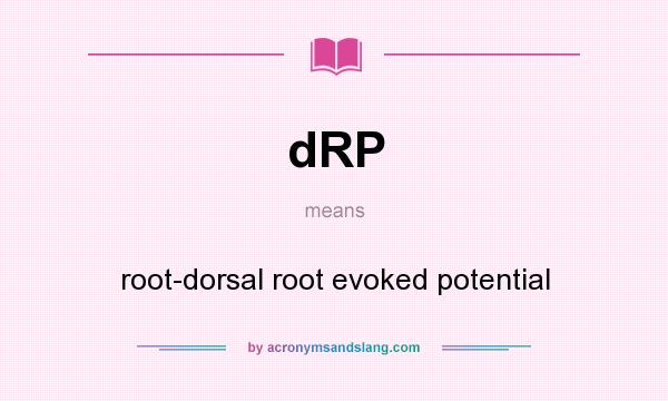 What does dRP mean? It stands for root-dorsal root evoked potential