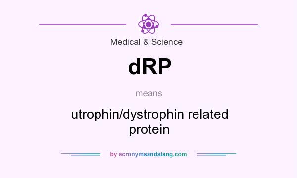 What does dRP mean? It stands for utrophin/dystrophin related protein