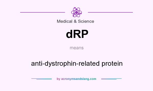 What does dRP mean? It stands for anti-dystrophin-related protein
