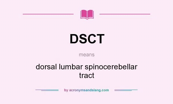 What does DSCT mean? It stands for dorsal lumbar spinocerebellar tract