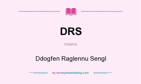 What does DRS mean? It stands for Ddogfen Raglennu Sengl