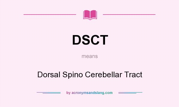 What does DSCT mean? It stands for Dorsal Spino Cerebellar Tract