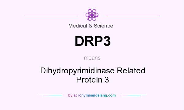 What does DRP3 mean? It stands for Dihydropyrimidinase Related Protein 3