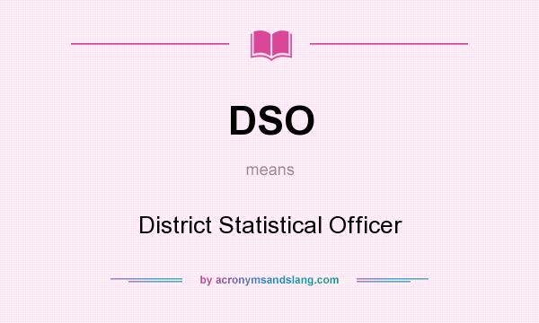What does DSO mean? It stands for District Statistical Officer