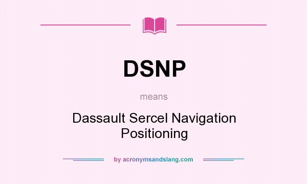 What does DSNP mean? It stands for Dassault Sercel Navigation Positioning