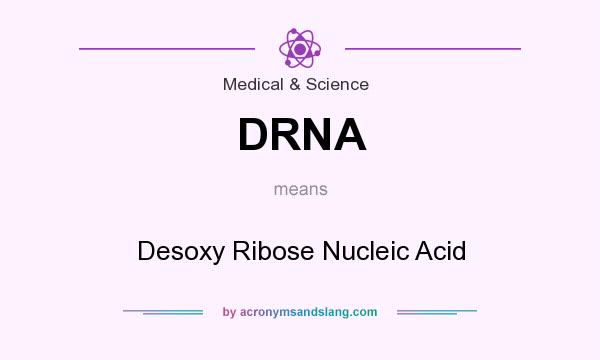 What does DRNA mean? It stands for Desoxy Ribose Nucleic Acid