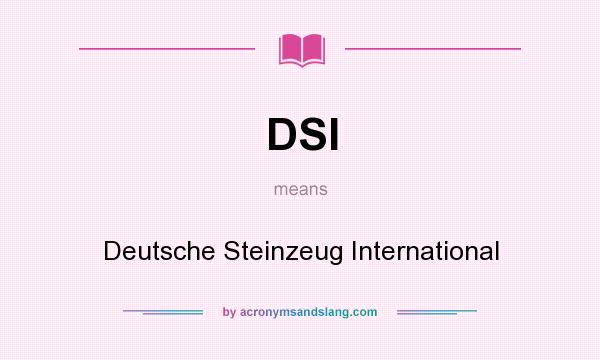 What does DSI mean? It stands for Deutsche Steinzeug International