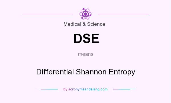 What does DSE mean? It stands for Differential Shannon Entropy