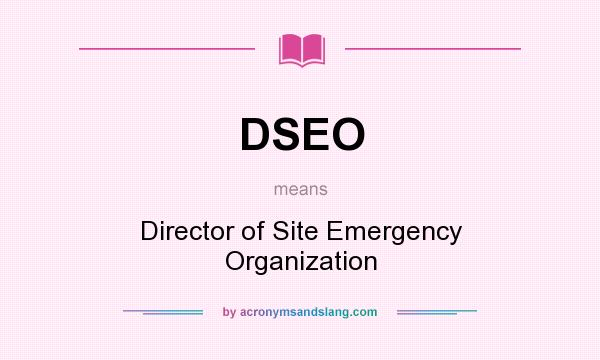 What does DSEO mean? It stands for Director of Site Emergency Organization