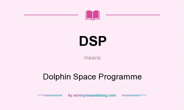What does DSP mean? It stands for Dolphin Space Programme