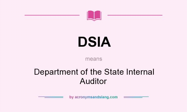 What does DSIA mean? It stands for Department of the State Internal Auditor