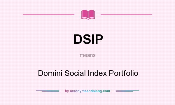 What does DSIP mean? It stands for Domini Social Index Portfolio