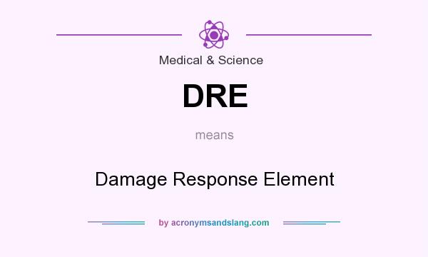 What does DRE mean? It stands for Damage Response Element