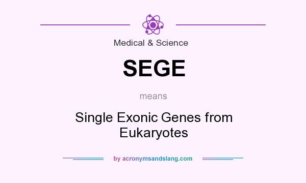 What does SEGE mean? It stands for Single Exonic Genes from Eukaryotes