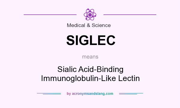 What does SIGLEC mean? It stands for Sialic Acid-Binding Immunoglobulin-Like Lectin