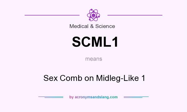 What does SCML1 mean? It stands for Sex Comb on Midleg-Like 1