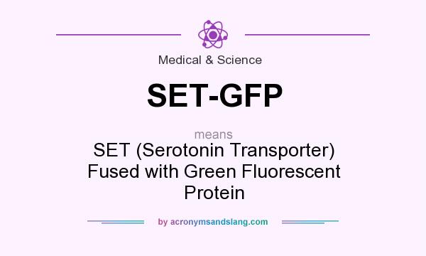 What does SET-GFP mean? It stands for SET (Serotonin Transporter) Fused with Green Fluorescent Protein