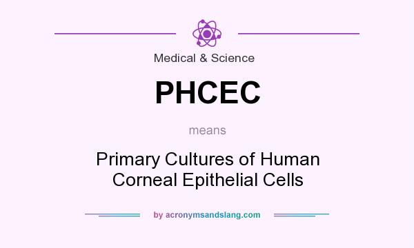 What does PHCEC mean? It stands for Primary Cultures of Human Corneal Epithelial Cells