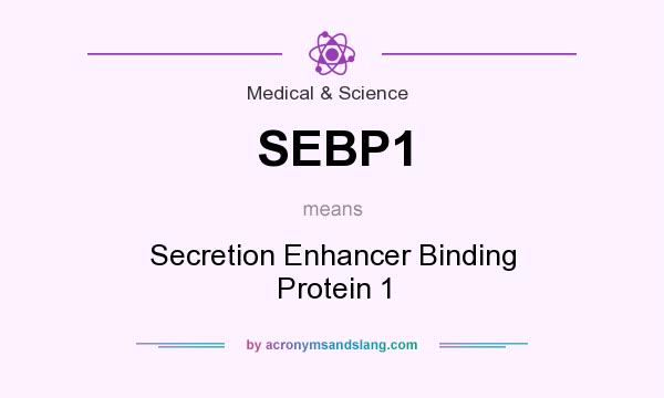 What does SEBP1 mean? It stands for Secretion Enhancer Binding Protein 1