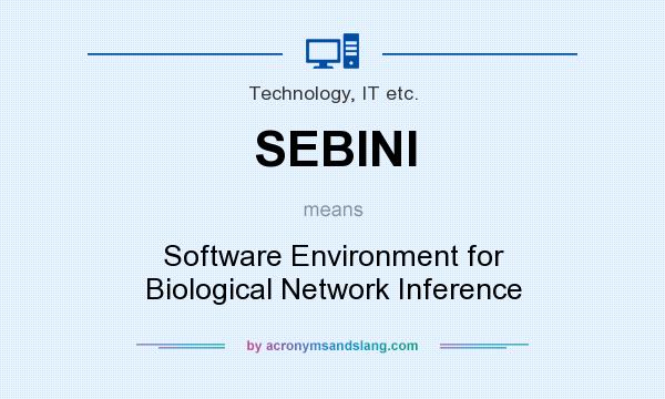 What does SEBINI mean? It stands for Software Environment for Biological Network Inference