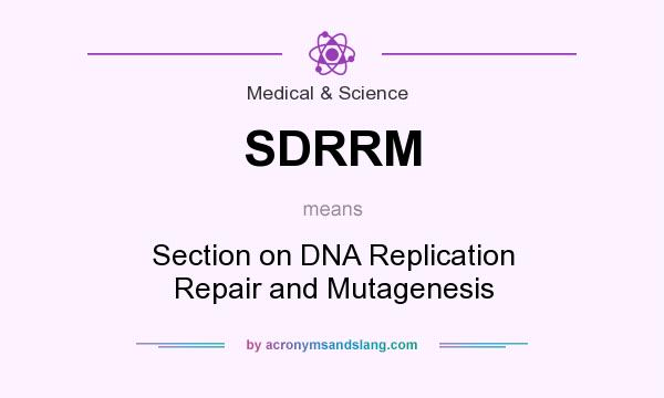 What does SDRRM mean? It stands for Section on DNA Replication Repair and Mutagenesis